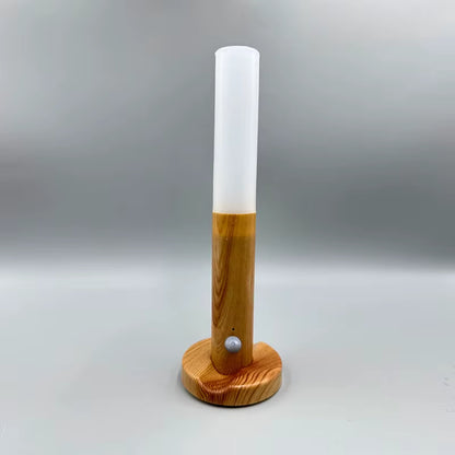 LED Night Light USB Charging w/ Motion Sensor Light 