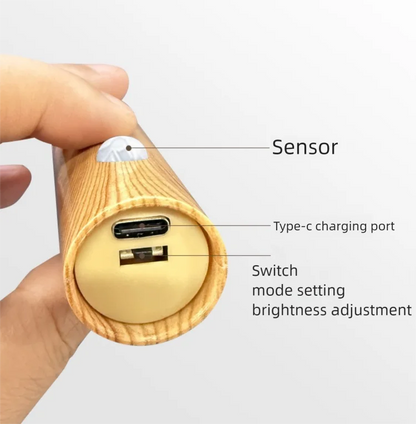 LED Night Light USB Charging w/ Motion Sensor Light