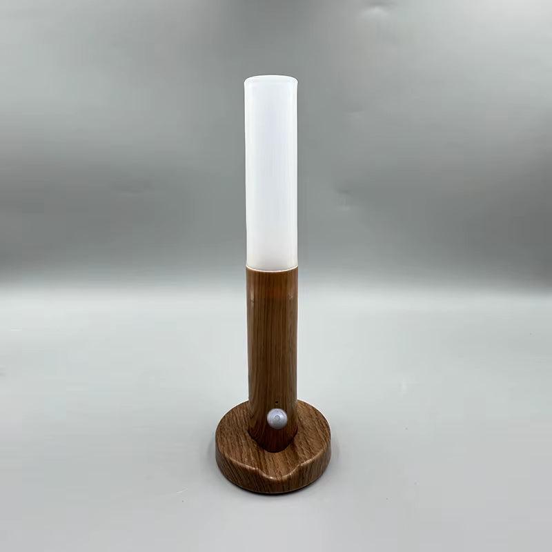 LED Night Light USB Charging w/ Motion Sensor Light 